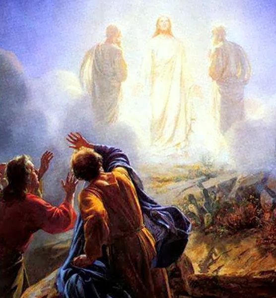 (Imagem Ilustrativa) (Imagem Ilustrativa)