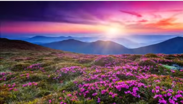 (Imagem Ilustrativa)