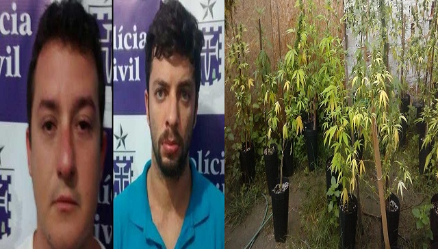 Empresário e engenheiro assumiram serem donos da plantação (Foto: Ascom | Polícia Civil)