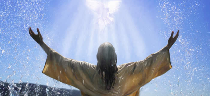 (Imagem Ilustrativa)