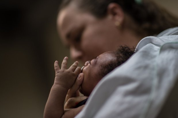 A morte das células-tronco cerebrais após a infecção é associada aos casos de microcefalia causados pelo vírus (Foto: AFP)