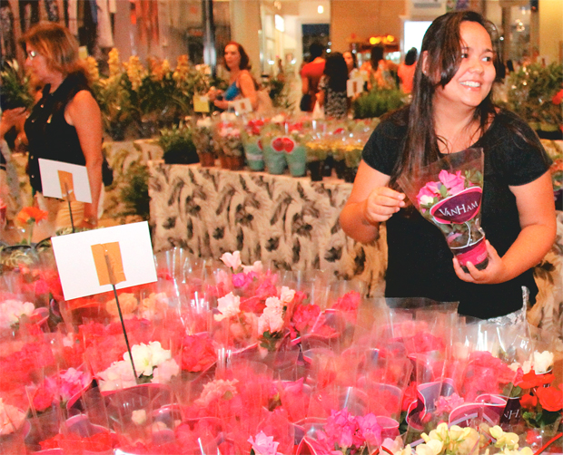 Plantas e rosas são opções de presentes com preços bacanas (Foto: Evandro Veiga)