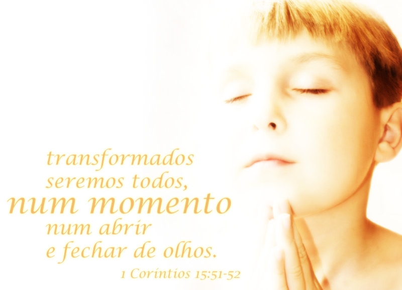 (Imagem Ilustrativa)