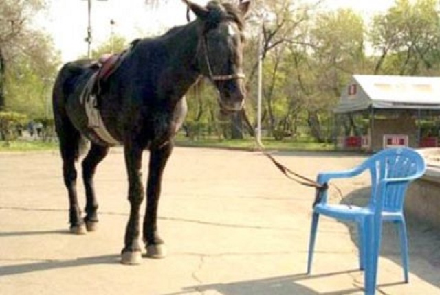 '(...)Porque todos devemos comparecer ante o tribunal de Cristo, para que cada um receba segundo o que tiver feito por meio do corpo, ou bem, ou mal'. 2 Coríntios 5:10