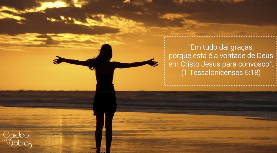 (Imagem Ilustrativa) (Imagem Ilustrativa)