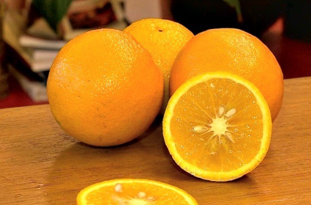 Laranjas são fonte de vitamina C (Foto: Reprodução/RBS TV)