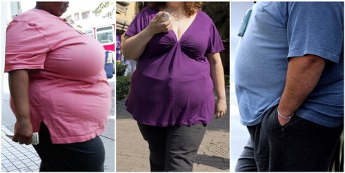 Pesquisa mostra que maioria das pessoas associa preguiça à obesidade (Foto: Paul ELLIS, Robyn BECK, Ronaldo SCHEMIDT / AFP Photo)