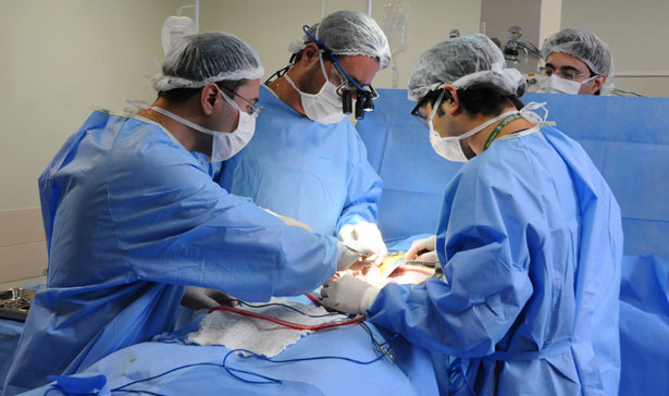 (Imagem Ilustrativa)