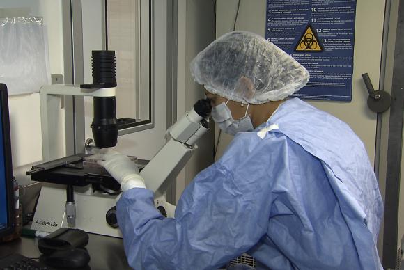 A constatação de que o vírus Zika pode bloquear a ativação do sistema imunológico veio a partir do mapeamento genético do vírus que circula em Pernambuco (Foto: Reprodução/TV Brasil)