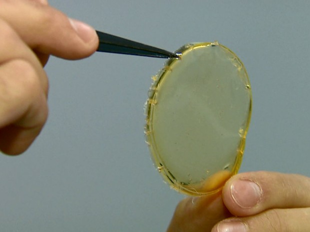 Novo curativo deve chegar ao mercado em cinco anos (Foto: Paulo Chiari/EPTV)