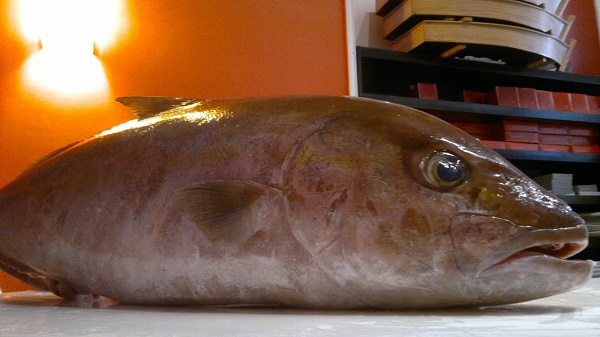 Vendedores ‘clandestinos’ estariam vendendo peixe com formol em Guarajuba