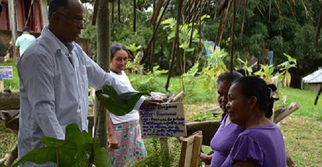 Salazar resgatou uso de plantas medicinais cujos benefícios são comprovados pela ciência (Foto: OPAS)