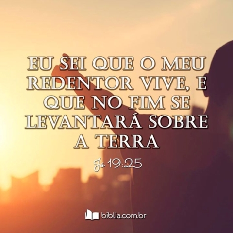 (Imagem Ilustrativa)