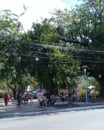 Galhos de árvores se emaranhando por entre fios de alta tensão na Praça Abrantes (Foto: Marcelo Franco)