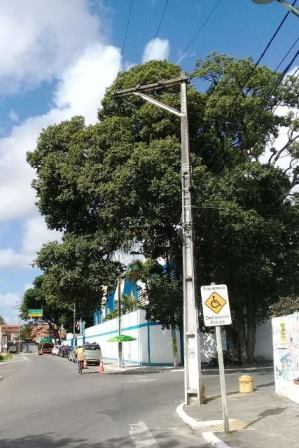 Galhos de árvores se emaranhando por entre fios de alta tensão no Centro da cidade (Foto: Marcelo Franco)