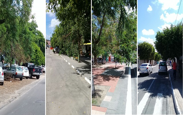 Segundo informações, desde janeiro deste ano que nenhum serviço de poda de manutenção foi feito, e as árvores estão oferecendo risco de toda espécie aos moradores e veículos da cidade (Fotos: CFF/Marcelo Franco)