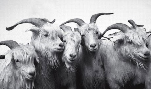 Mas hoje o convite da igreja, e a mensagem da igreja mudaram. Eles podem até te convidar para fazer parte de uma agremiação religiosa, mas não significa isso que você tem parte no reino dos Céus