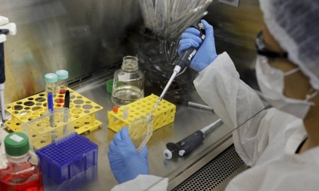 A escolha de medicamentos relevantes para cada paciente será favorecida