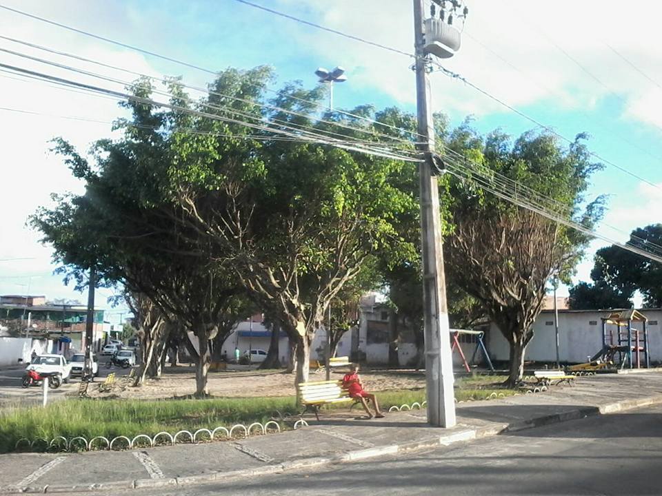 O prefeito Antônio Elinaldo (DEM) mostra que não está nem um pouco preocupado com o visual arbóreo da cidade