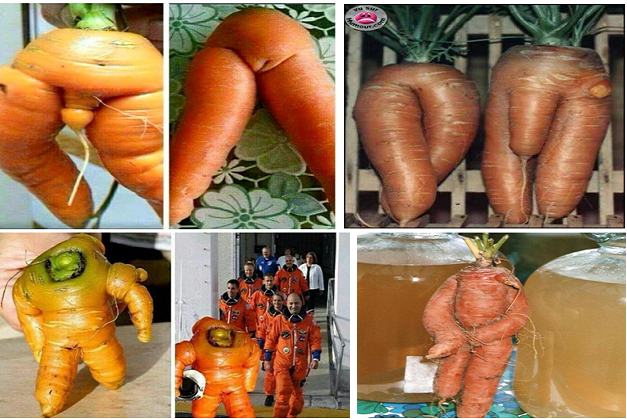 Para refletir II (Foto Google)