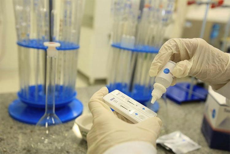 Se o zika fosse utilizado em humanos, o vírus precisaria ser injetado no cérebro (Foto: Joá Souza | Ag. A TARDE)