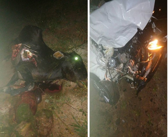 O acidente ocorreu na estrada da Cetrel, na noite desta terça feira, 19 O acidente ocorreu na estrada da Cetrel, na noite desta terça feira, 19