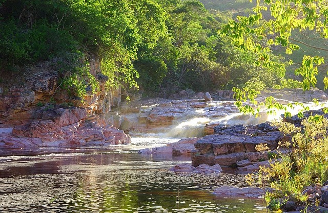 Atitudes simples podem ser adotadas no cotidiano para preservar o planeta, entre elas economizar água e energia e ser um consumidor ecologicamente consciente