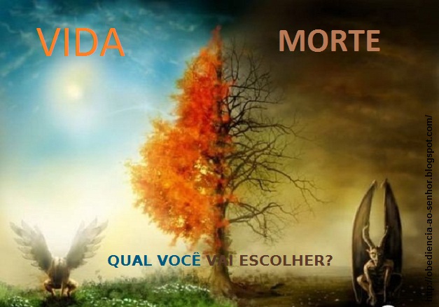 (Imagem Ilustrativa)