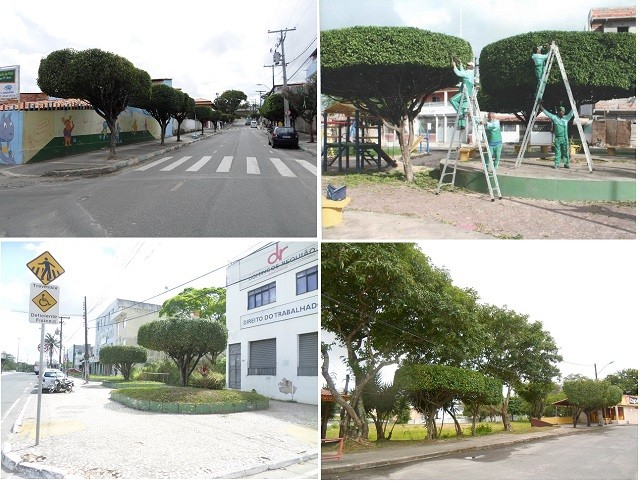 Imagens dos serviços, dispensados pela prefeitura com contrato em plena vigência, à que a moradora se refere, ainda da gestão do ex-prefeito Luiz Caetano (PT) (Foto: CFF)