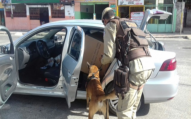 A grande novidade é a utilização de cães policiais farejadores da raça molinois, pertencentes ao Batalhão de Guarda da PM