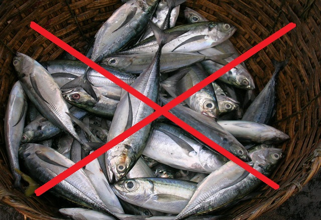 A prefeitura de Camaçari não fará a distribuição da tradicional 'Cestas de Páscoa', às famílias carentes beneficiárias do programa Bolsa Família (Foto: Ilustração)