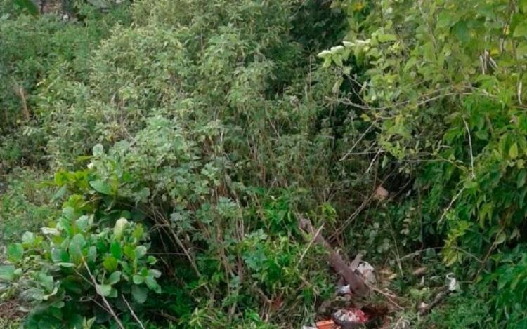O corpo do homem foi encontrado em um matagal, porém sua cabeça não foi encontrada
