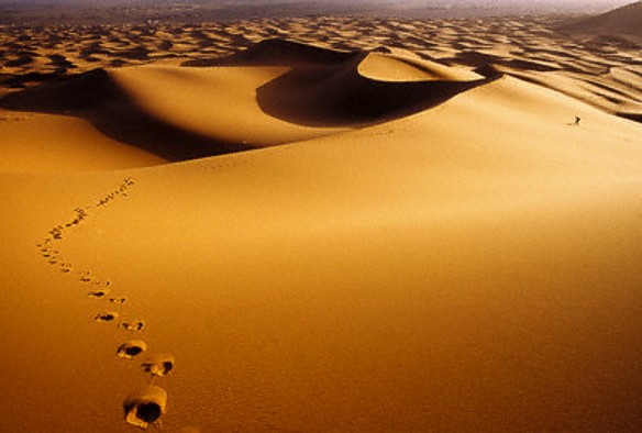 (Imagem Ilustrativa)