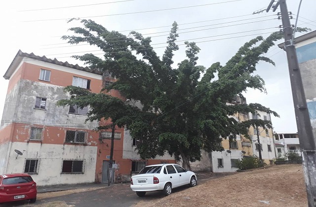 Iagem da ausência de poda em árvore advertida pelo CFF, sem efeito (foto leitor)
