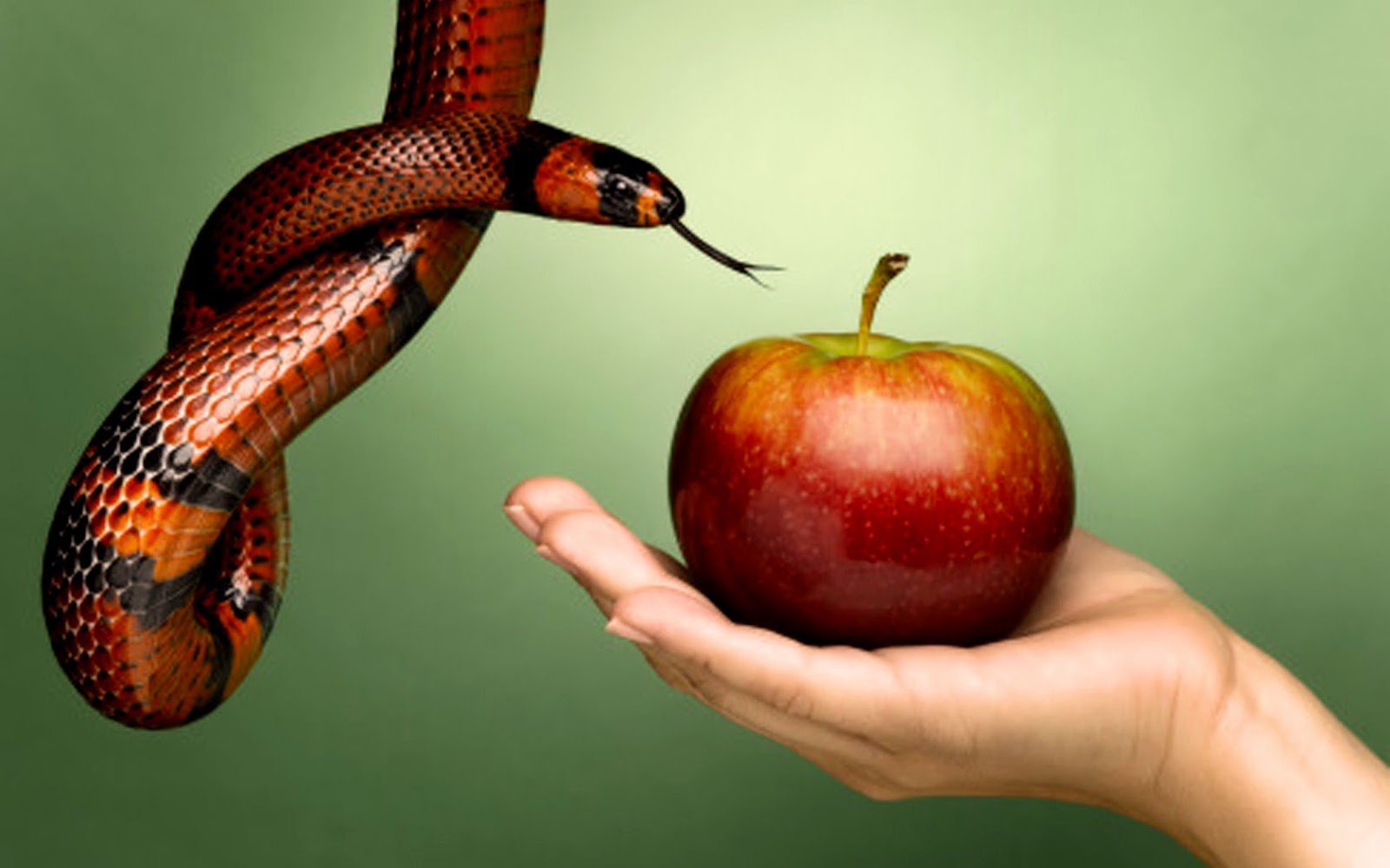 E se não fizerdes assim, eis que pecastes contra o Senhor; e sabei que o vosso pecado vos há de achar. Números 32:23