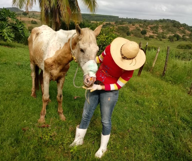 Apolítica, quando o assunto são seu bichos, ao ser perguntada se queria que fosse feito algum apelo por ajuda, Zulmira foi enfática: 'De jeito nenhum'.