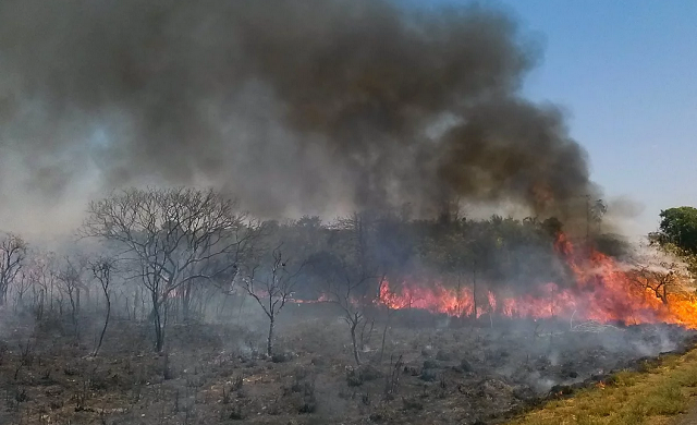 A região que concentra a maior floresta tropical do mundo está passando por uma crise decorrente das diversas queimadas que estão destruindo a mata (Foto: Reprodução)