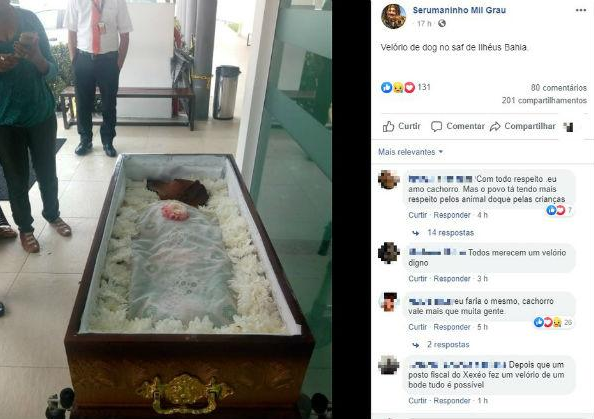 O caixão, feito especialmente para o animal de estimação (Foto: Reprodução)