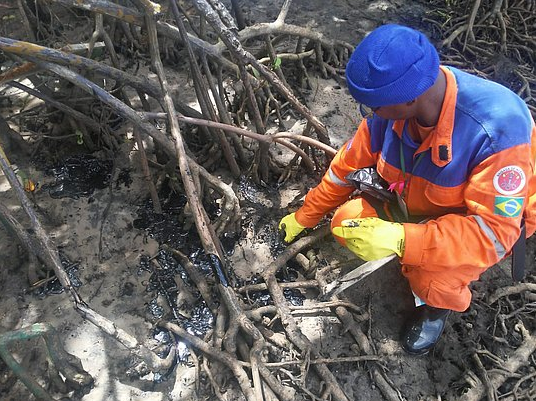 Defesa Civil recolheu pelo menos 800 kg de óleo do local (Foto: Defesa Civi | Divulgação)
