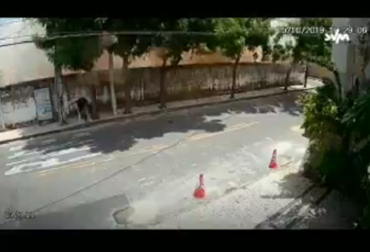 Vídeo mostra o momento em que o Edifício Andréa, desaba na cidade de Fortaleza, no Ceará (Foto: Print | Vídeo)