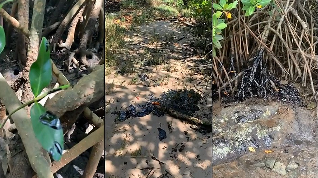 As localidades onde o grupo mais encontrou óleo foram em Stella Maris, Itapuã, Vilas do Atlântico e na foz do Rio Pojuca, em Camaçari (Foto: Reprodução)