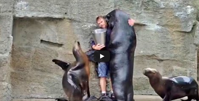 O Criador, que não poucos teimam que não existe, dando um show de ‘humanismo’ e de Sua existência através de personagens da Sua criação (Foto: Print | Vídeo)