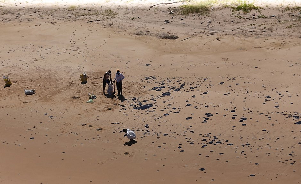 Pesquisadores da Universidade Federal do Rio de Janeiro (UFRJ) divulgaram que uma mancha de aproximadamente 200 km² estava próxima ao sul baiano - a área equivale quase a extensão da cidade de Simões Filho (Foto: Reprodução)