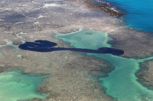 O petróleo derramado no oceano Atlântico atinge o litoral há quase 60 dias e tem potencial para danificar, em alguns casos de forma permanente, tanto o ecossistema marinho como a economia local e a saúde humana (Foto: REUTERS | Diego Nigro | Direitos Reservados)