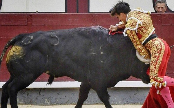 Toureiro Gonzalo Caballero, de 27 anos (Foto: Reprodução)