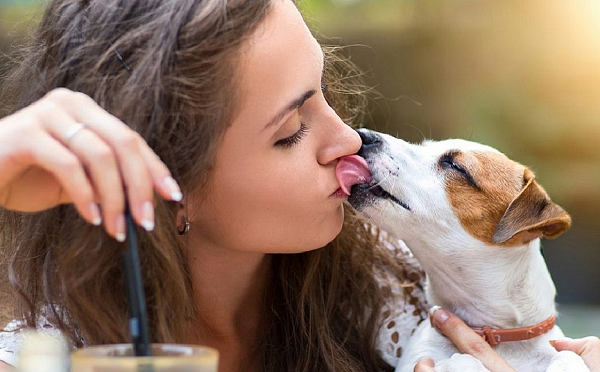 Infecção foi causada pela bactéria Capnocytophaga canimorsus, comumente encontrada na boca de cães e gatos (Foto: Reprodução)