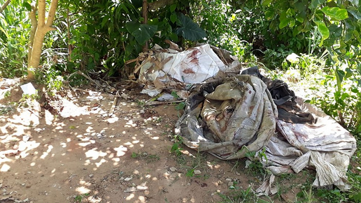 Os corpos foram encontrados enrolados em sacos plásticos, numa área de vegetação da localidade (Foto: Bruno Wendel | CORREIO)