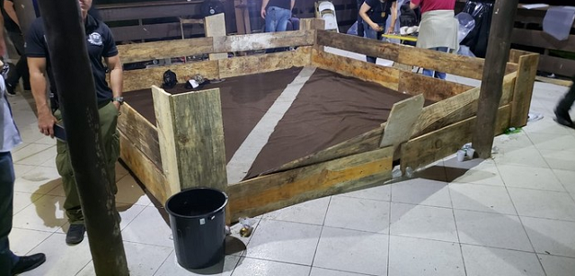 Rinha ficava na Região Metropolitana de São Paulo (Foto: Polícia Civil do Paraná | Divulgação)  