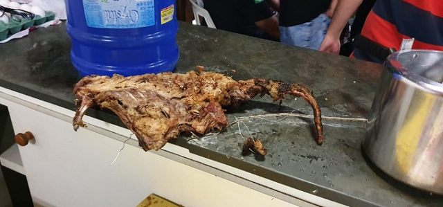 Churrasco de carne de cachorro era servido na rinha, de acordom com a Polícia Civil (Foto: Polícia Civil do Paraná | Divulgação) 