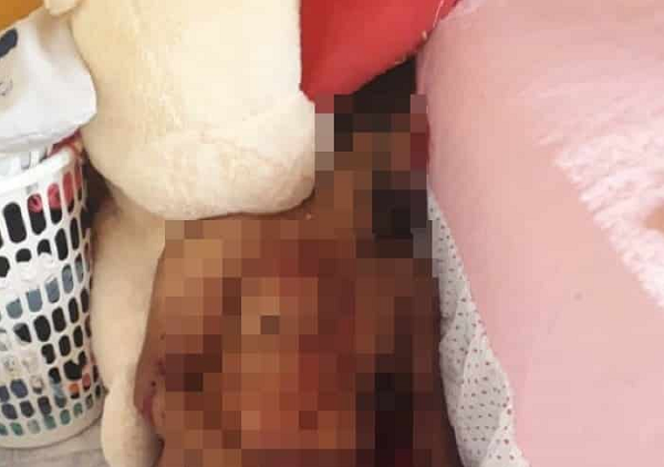 (Foto: Reprodução)